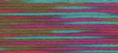 9009 мулине Cosmo меланж Seasons