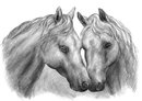 Лошади (скетч для раскрашивания)