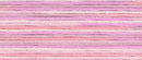5001 мулине Cosmo меланж Seasons (80-6/5001)