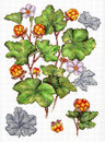 Морошка (28*19 см)